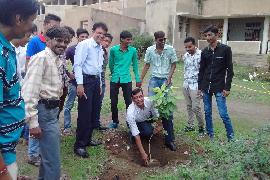 Vruksharopan 6-8-2014 